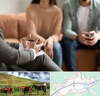 مشاور زناشویی در تالش