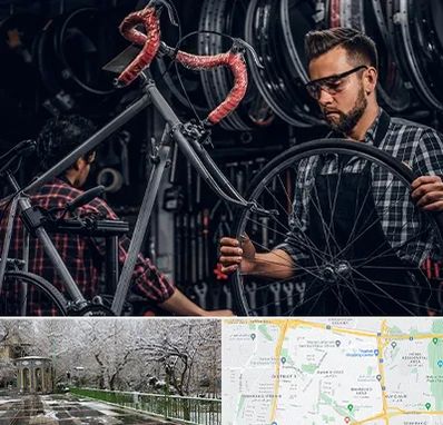 تعمیرات دوچرخه در باغ فیض 