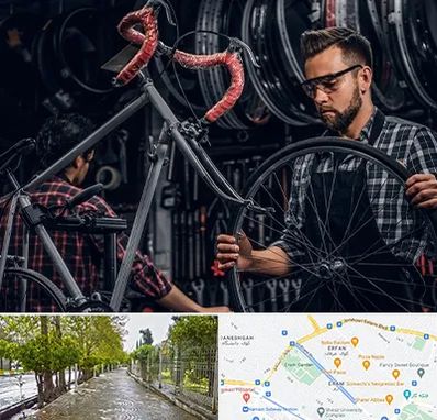 تعمیرات دوچرخه در خیابان ارم شیراز 