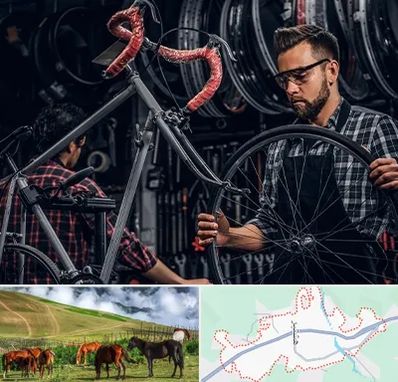 تعمیرات دوچرخه در تالش