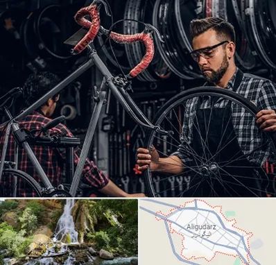 تعمیرات دوچرخه در الیگودرز