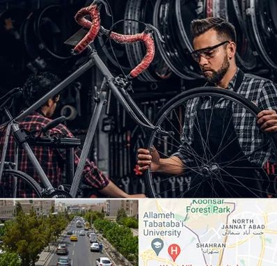 تعمیرات دوچرخه در شهران 