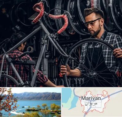 تعمیرات دوچرخه در مریوان