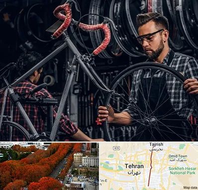 تعمیرات دوچرخه در ولیعصر 