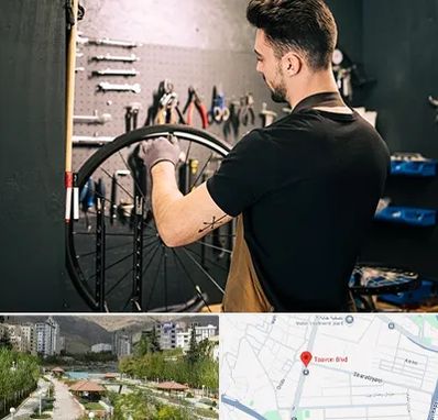 تعمیرکار دوچرخه در بلوار تعاون