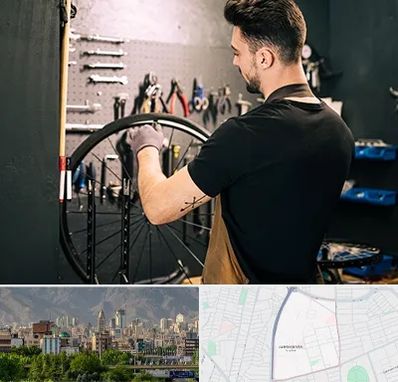 تعمیرکار دوچرخه در جمشیدیه