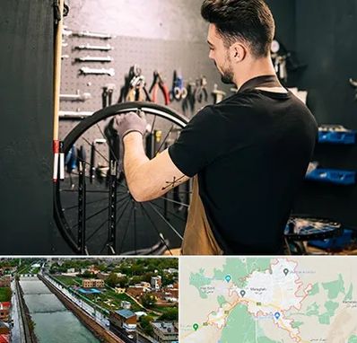 تعمیرکار دوچرخه در مراغه