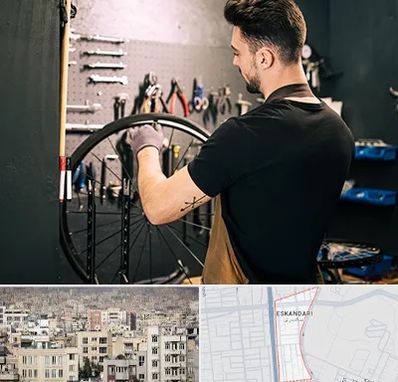 تعمیرکار دوچرخه در اسکندری