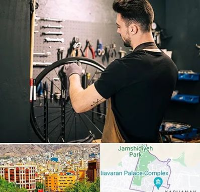 تعمیرکار دوچرخه در نیاوران