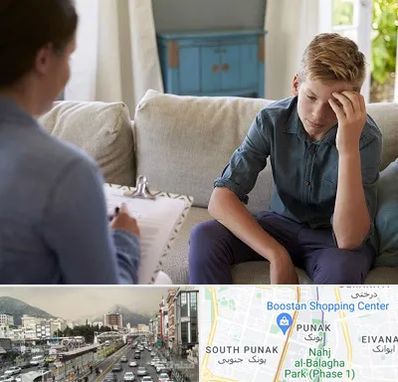 روانشناس نوجوان در پونک