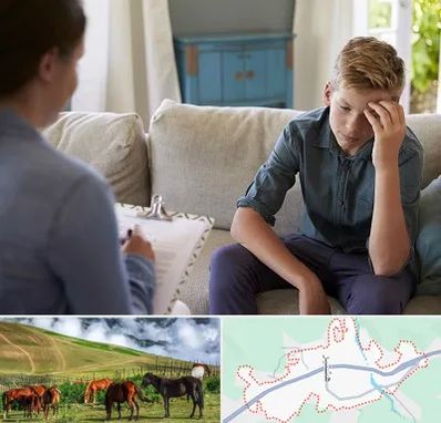 روانشناس نوجوان در تالش