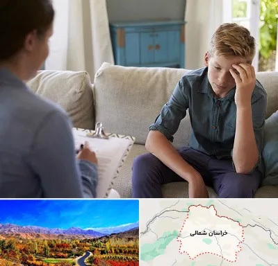 روانشناس نوجوان در خراسان شمالی