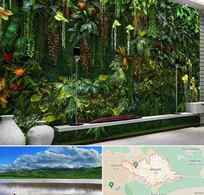 دیوار سبز مصنوعی در مرند