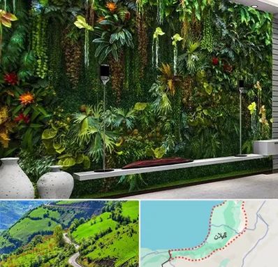 دیوار سبز مصنوعی در گیلان