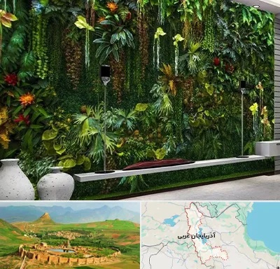 دیوار سبز مصنوعی در آذربایجان غربی