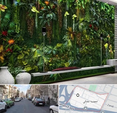 دیوار سبز مصنوعی در مجیدیه شمالی