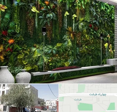دیوار سبز مصنوعی در طرشت