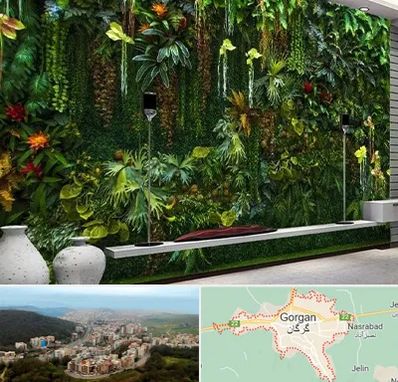 دیوار سبز مصنوعی در گرگان