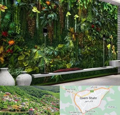 دیوار سبز مصنوعی در قائم شهر