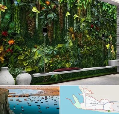 دیوار سبز مصنوعی در چابهار