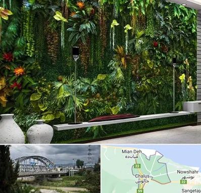 دیوار سبز مصنوعی در چالوس