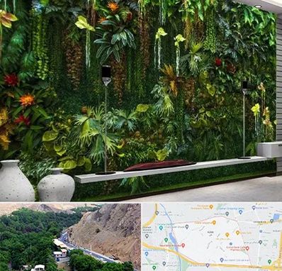 دیوار سبز مصنوعی در کن 