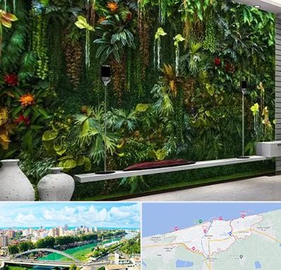 دیوار سبز مصنوعی در بابلسر