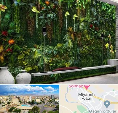 دیوار سبز مصنوعی در میانه