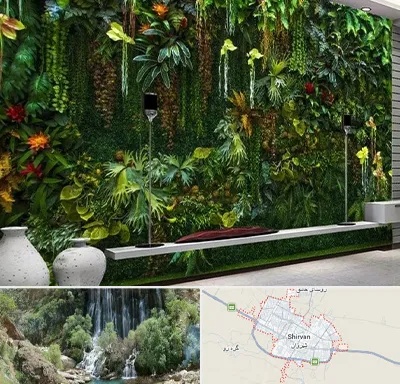 دیوار سبز مصنوعی در شیروان
