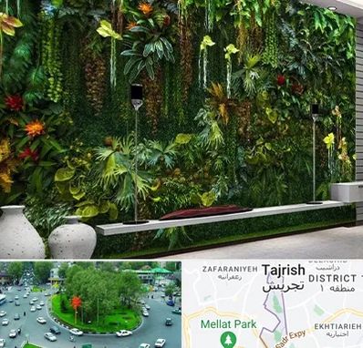 دیوار سبز مصنوعی در تجریش 