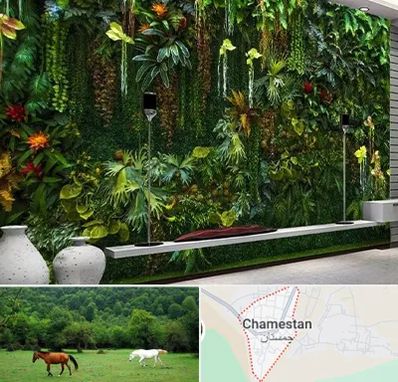 دیوار سبز مصنوعی در چمستان