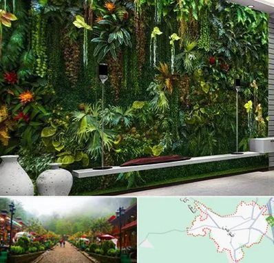 دیوار سبز مصنوعی در فومن