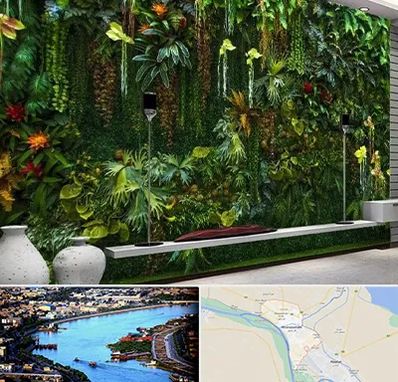 دیوار سبز مصنوعی در خرمشهر