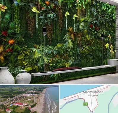 دیوار سبز مصنوعی در محمودآباد
