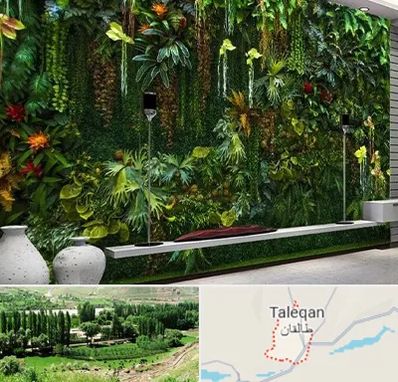 دیوار سبز مصنوعی در طالقان