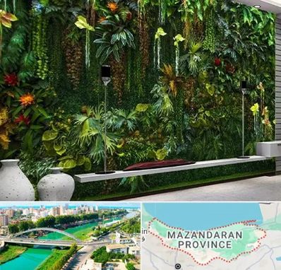 دیوار سبز مصنوعی در مازندران