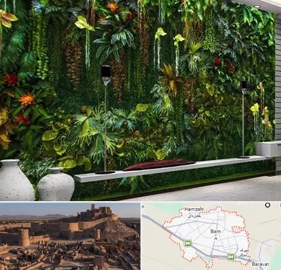 دیوار سبز مصنوعی در بم