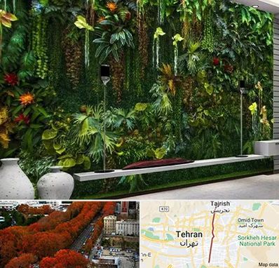 دیوار سبز مصنوعی در ولیعصر 