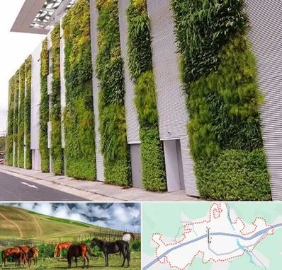 دیوار سبز در تالش