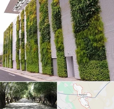 دیوار سبز در باغستان