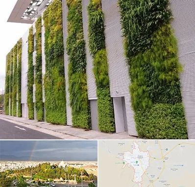 دیوار سبز در تربت حیدریه