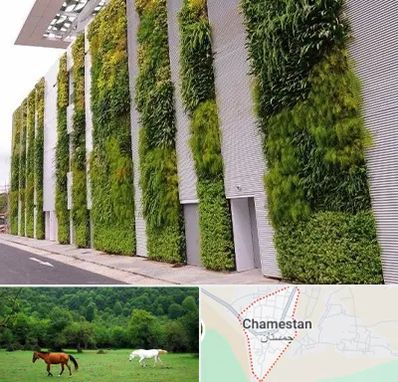 دیوار سبز در چمستان