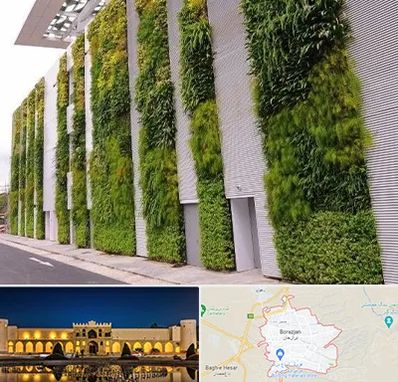 دیوار سبز در برازجان