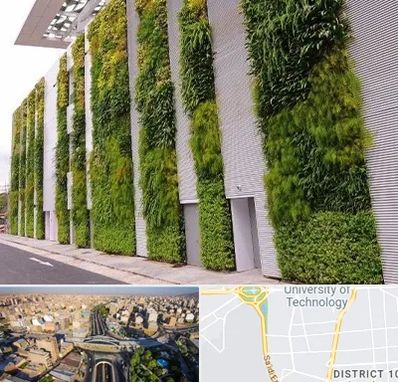 دیوار سبز در استاد معین 