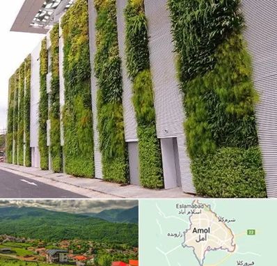 دیوار سبز در آمل