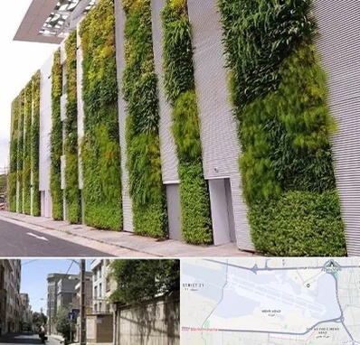 دیوار سبز در مهرآباد