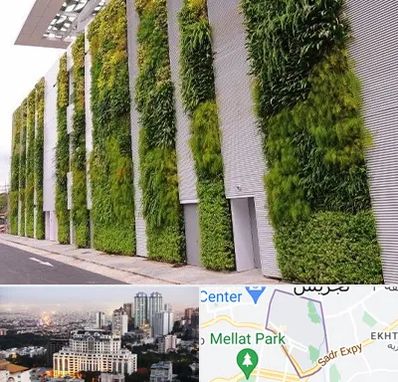 دیوار سبز در الهیه 