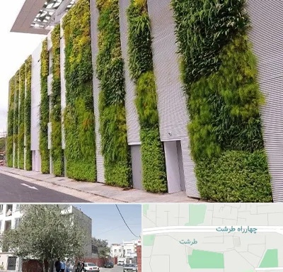 دیوار سبز در طرشت