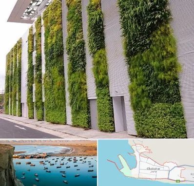 دیوار سبز در چابهار