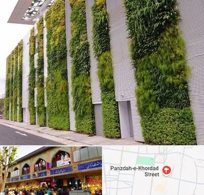 دیوار سبز در 15 خرداد